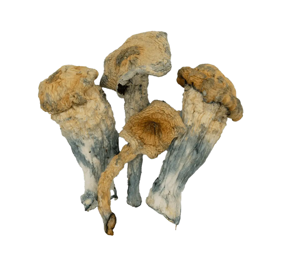 Mushrooms